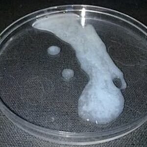 Edging And CEI Audio